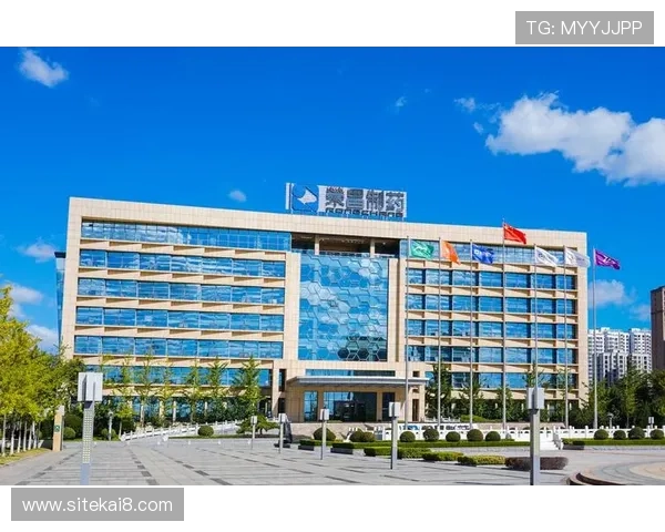 通过K8凯发旗舰厅官方地址了解在线博彩的趋势与前景 通过K8凯发旗舰厅官方地址了解在线博彩的趋势与前景